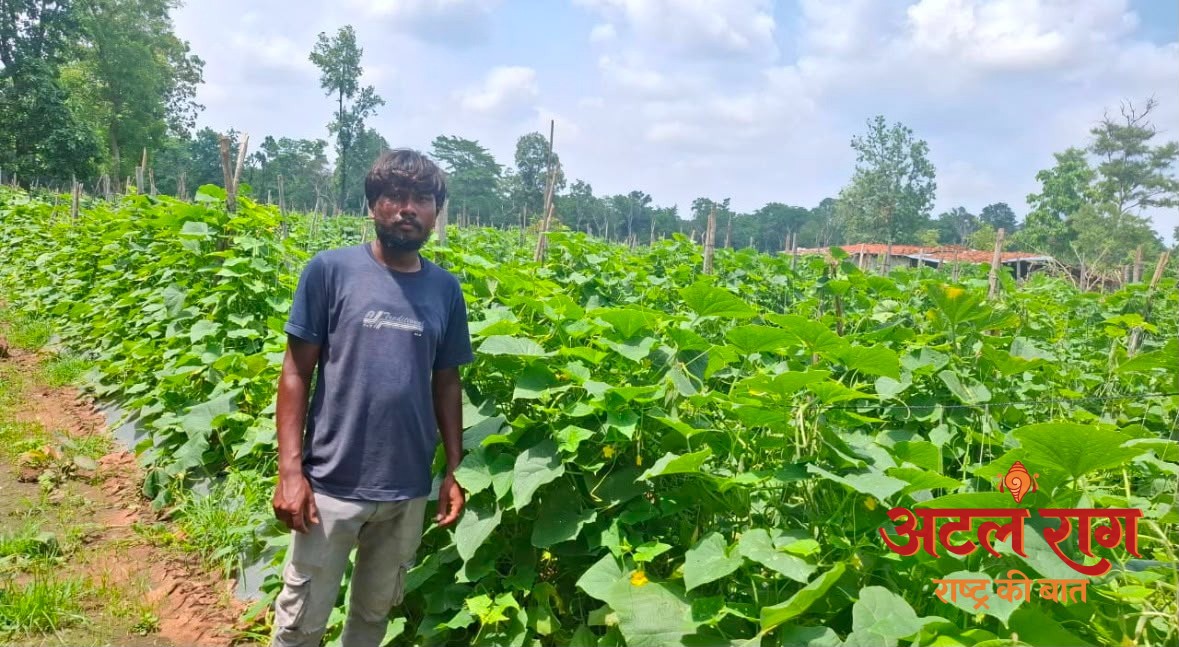 उद्यानिकी विभाग की योजना से बदली कमार कृषक की तकदीर