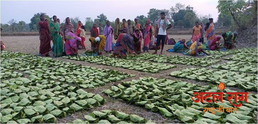 तेन्दूपत्ता संग्राहकों को मिली करोड़ों रुपये की संग्रहण एवं प्रोत्साहन राशि