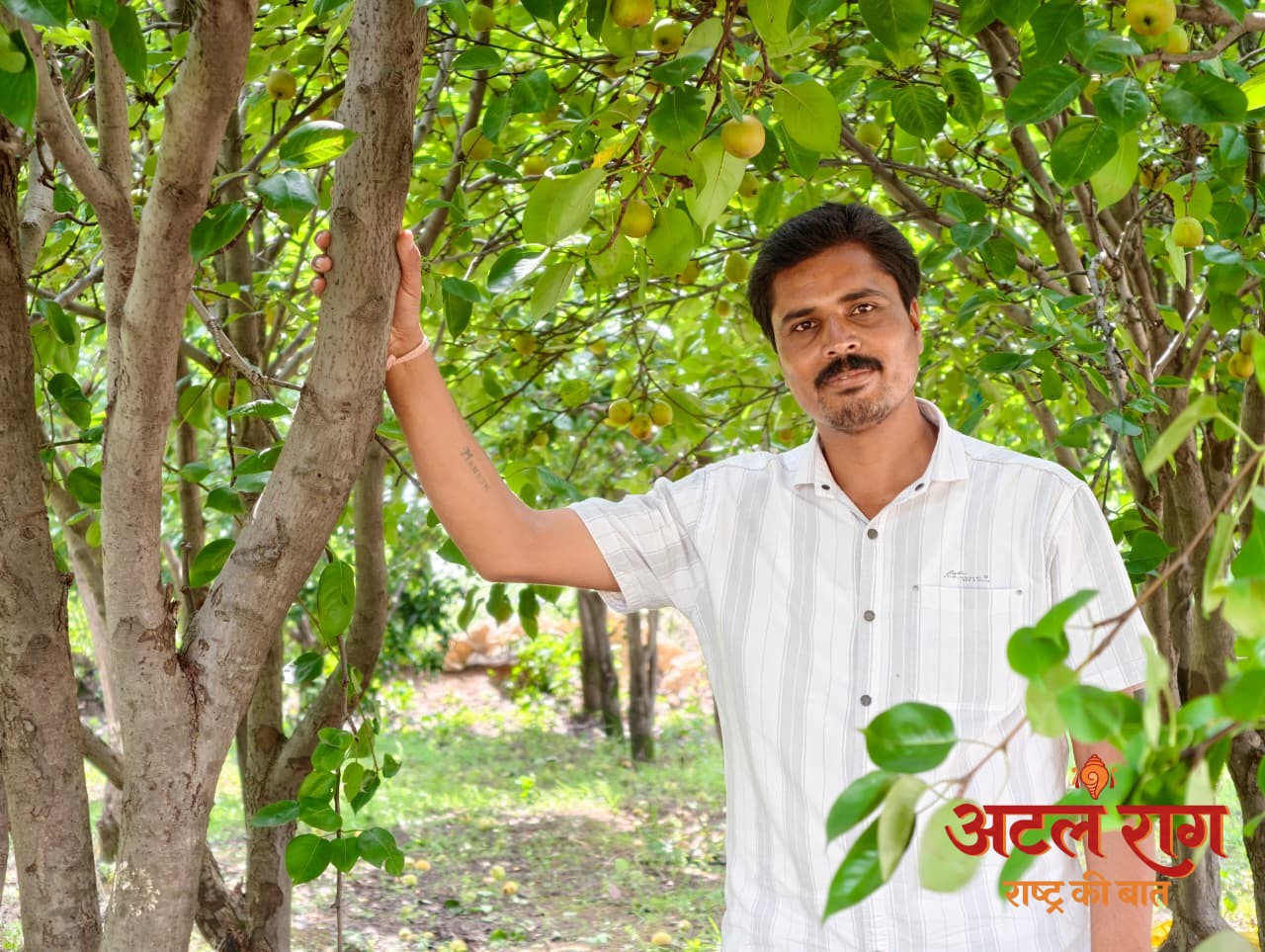 मैनपाट में 'नाशपाती' की मिठास : एग्री-टूरिज्म का नया गढ़ बना छत्तीसगढ़ का शिमला मैनपाट