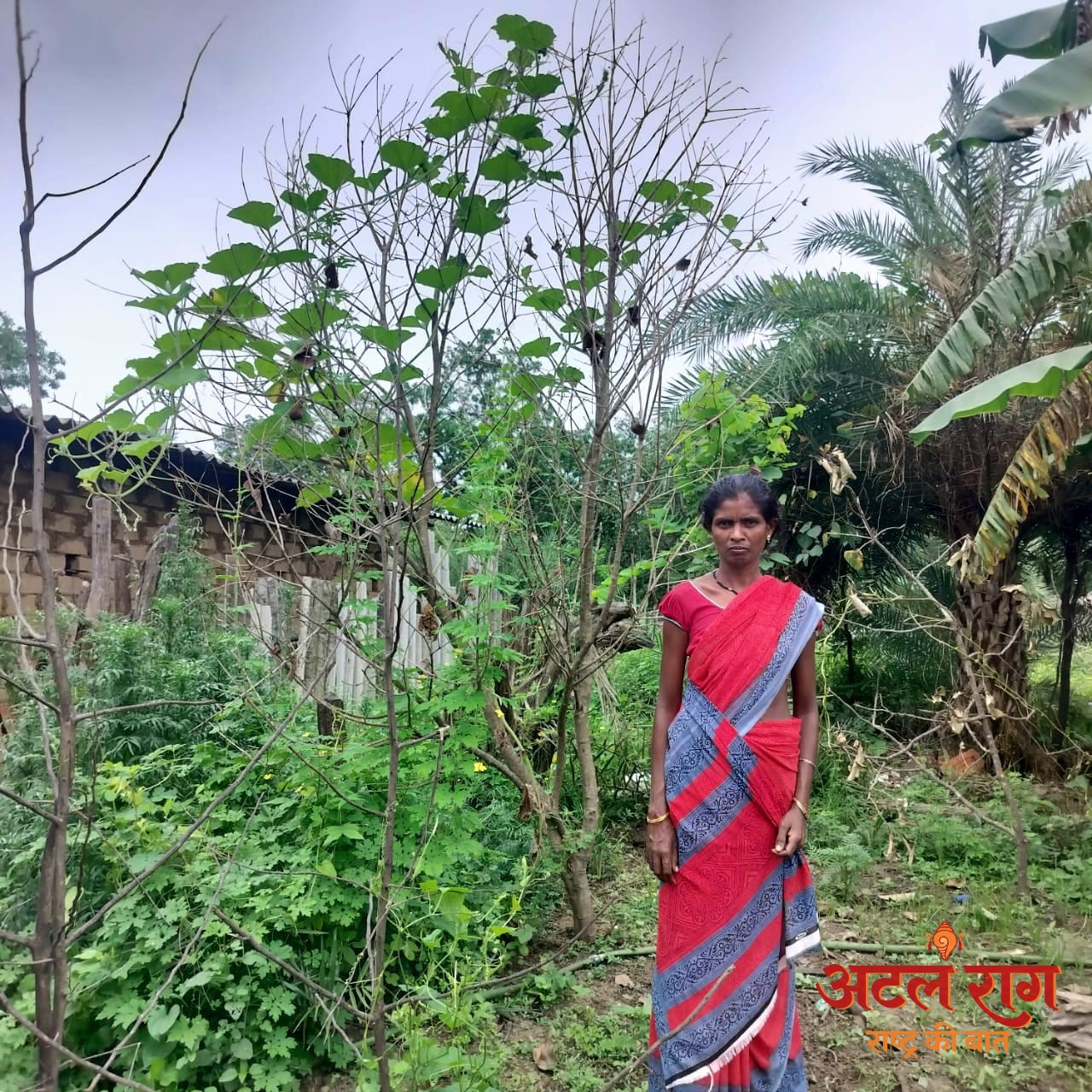 किचन गार्डन से आत्मनिर्भर बन रहीं बिहान की दीदियां
