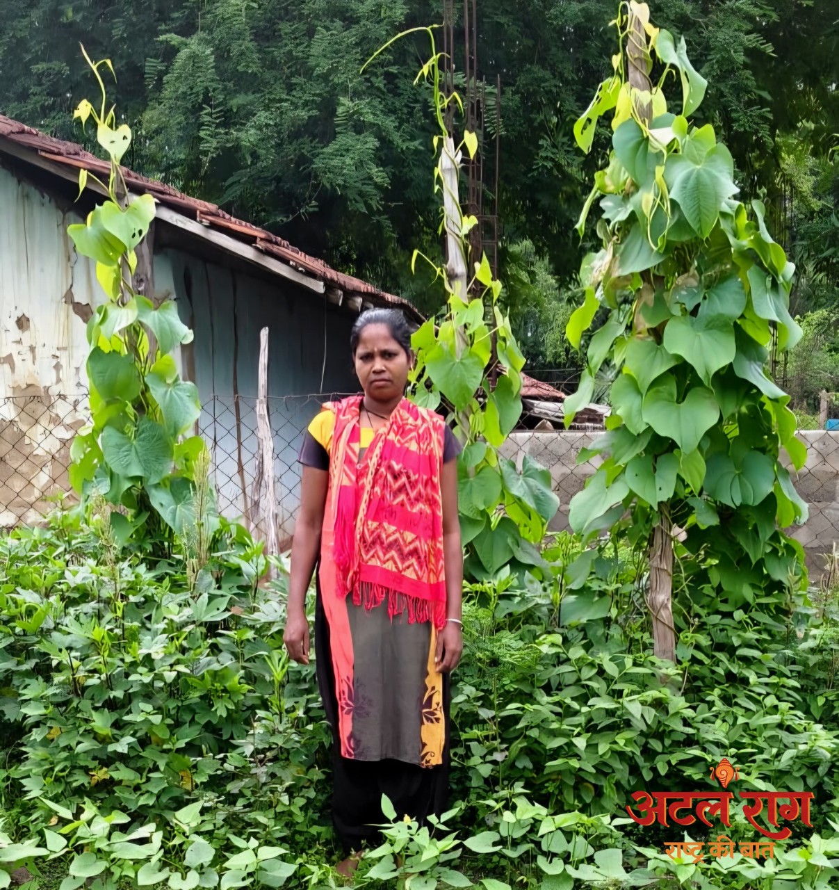 किचन गार्डन से आत्मनिर्भर बन रहीं बिहान की दीदियां