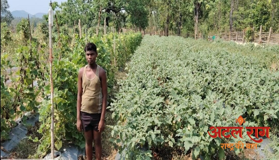 ’सफलता की नई इबारत’ : ’ड्रिप सिंचाई और सब्जी उत्पादन से चमकी नारायणपुर के वासुदेव की किस्मत’