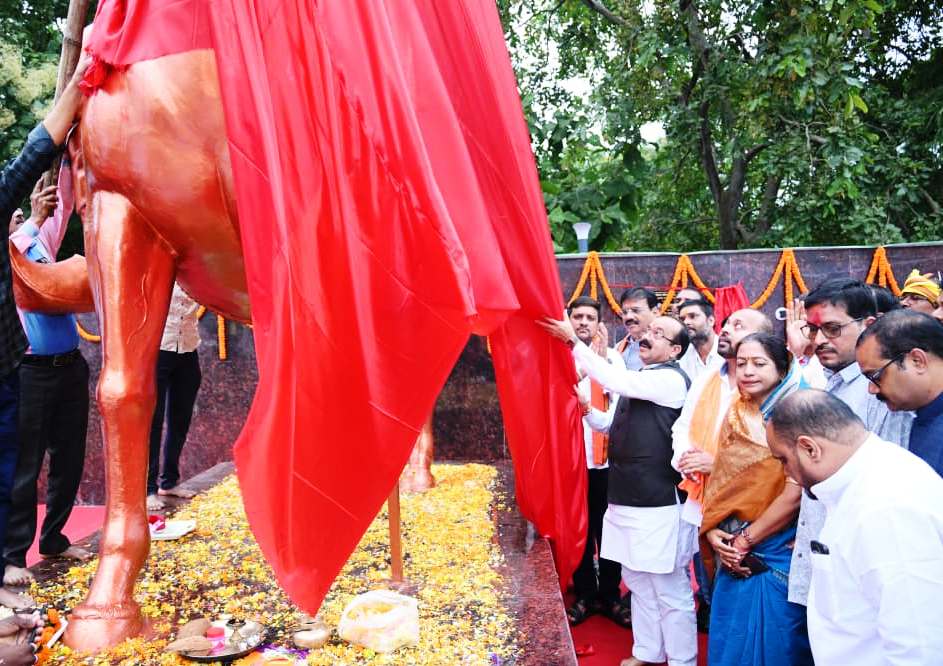 शहीद वीर नारायण सिंह की प्रतिमा का अनावरण, आदिवासी महासम्मेलन में विकास कार्यों की घोषणाएं