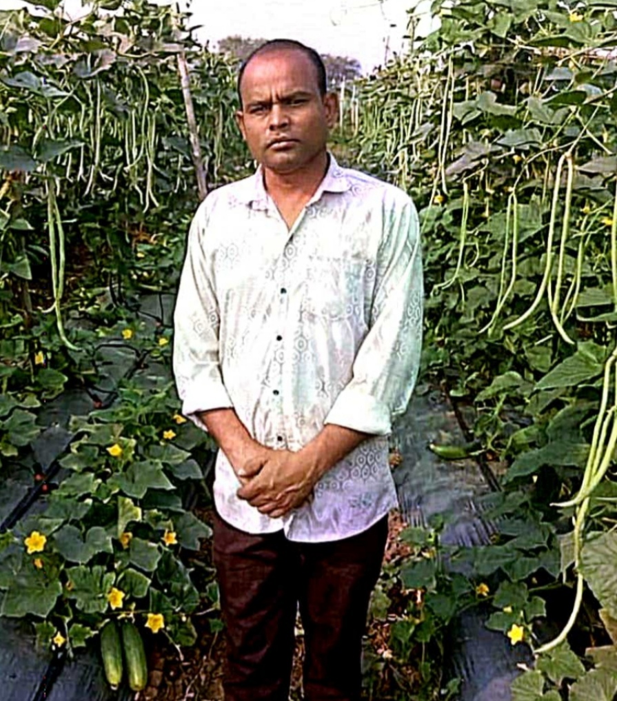 फसल परिवर्तन से बढ़ा उत्पादन और मुनाफा