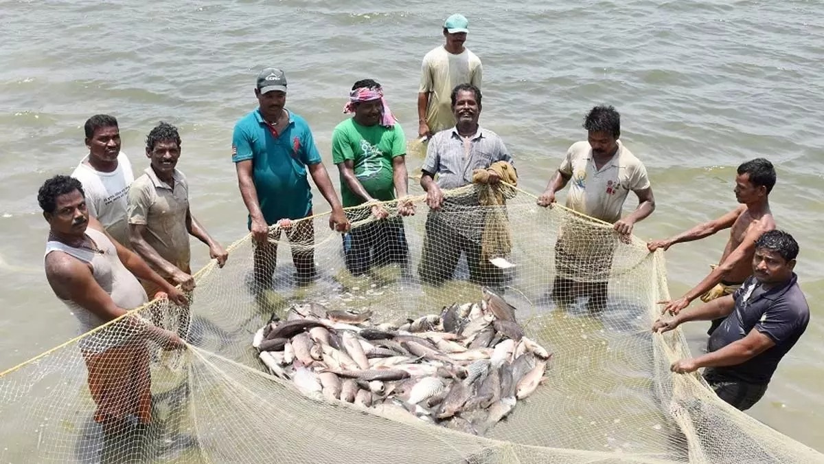 बदलाव की मिसाल : बदली किसानों की किस्मत प्रधानमंत्री मत्स्य संपदा योजना से