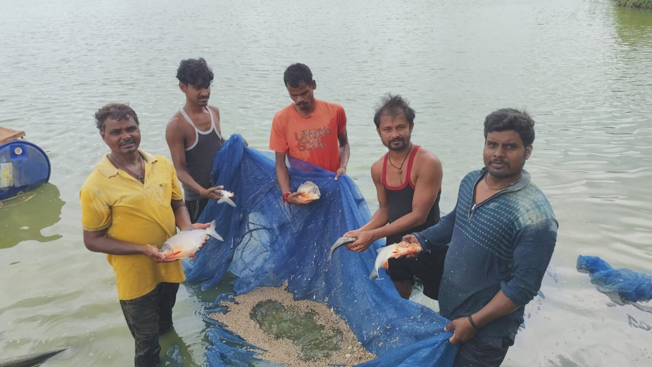 सेवा संकल्प अभियान : प्रधानमंत्री मत्स्य संपदा योजना से 150 मत्स्य पालकों ने बदली अपनी किस्मत। 