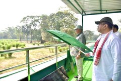 बुक्सा में लौटी बाघों की उम्मीद, पहली बाघिन के साथ शुरू हुआ पुनर्वास अभियान