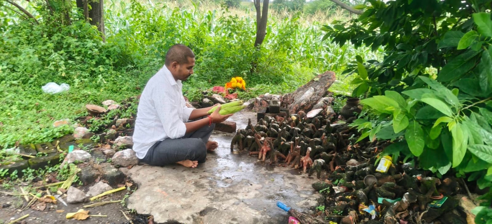 प्रकृति के प्रति कृतज्ञता व्यक्त करने का त्योहार नुआखाई